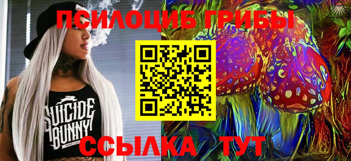 Псилоцибиновые грибы Psilocybe  Псилоцибиновые грибы MAGIC MUSHROOMS  Вход с VPN  Ростов Великий 